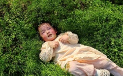 txvlogcom糖心视频最新地址